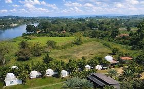 เดอะแคมป์สเตอร์